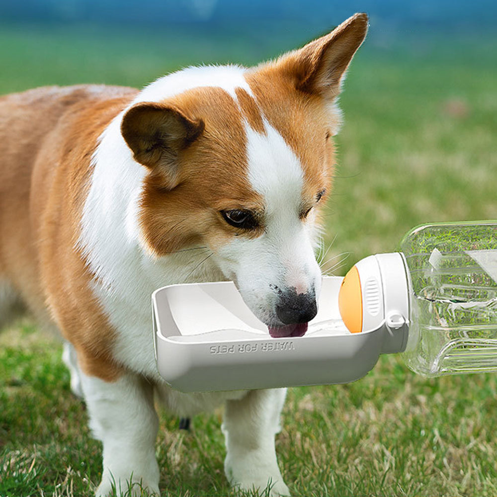 Dispenser Portable Water And Food Cup for Pets