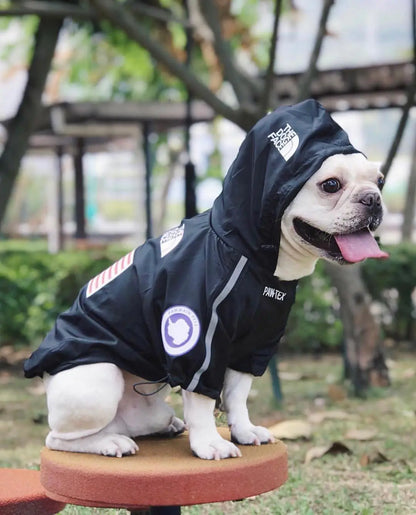 2025 New Waterproof Pet Raincoat for Dogs