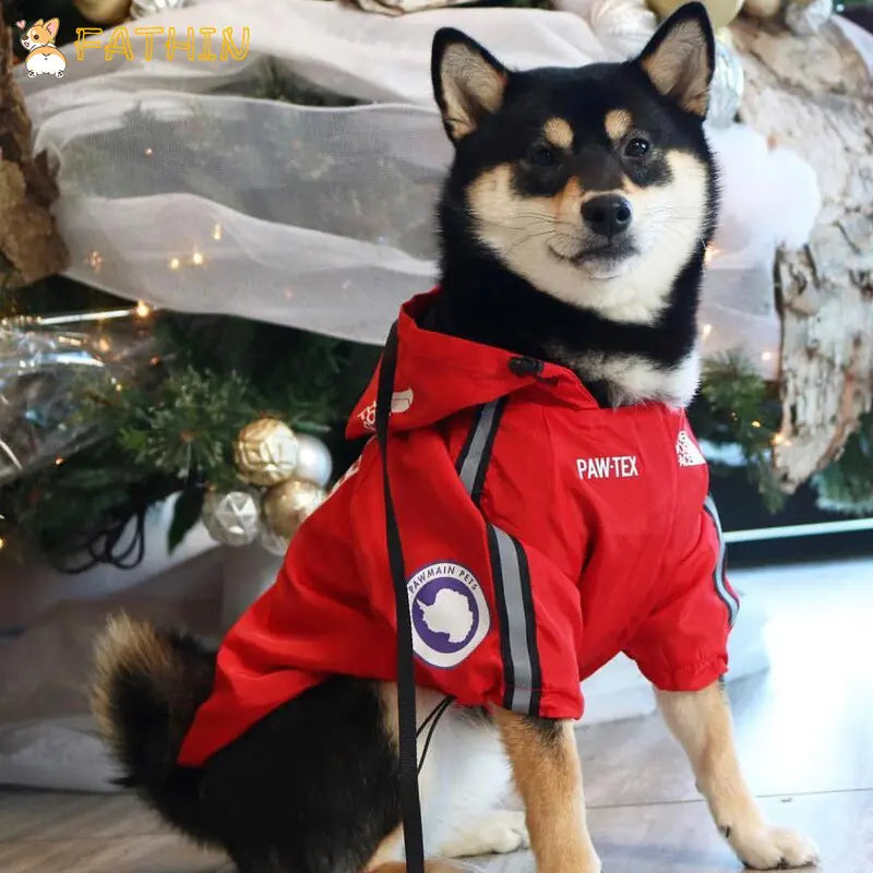 2025 New Waterproof Pet Raincoat for Dogs