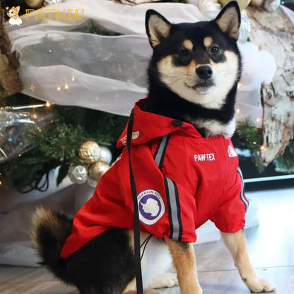2025 New Waterproof Pet Raincoat for Dogs